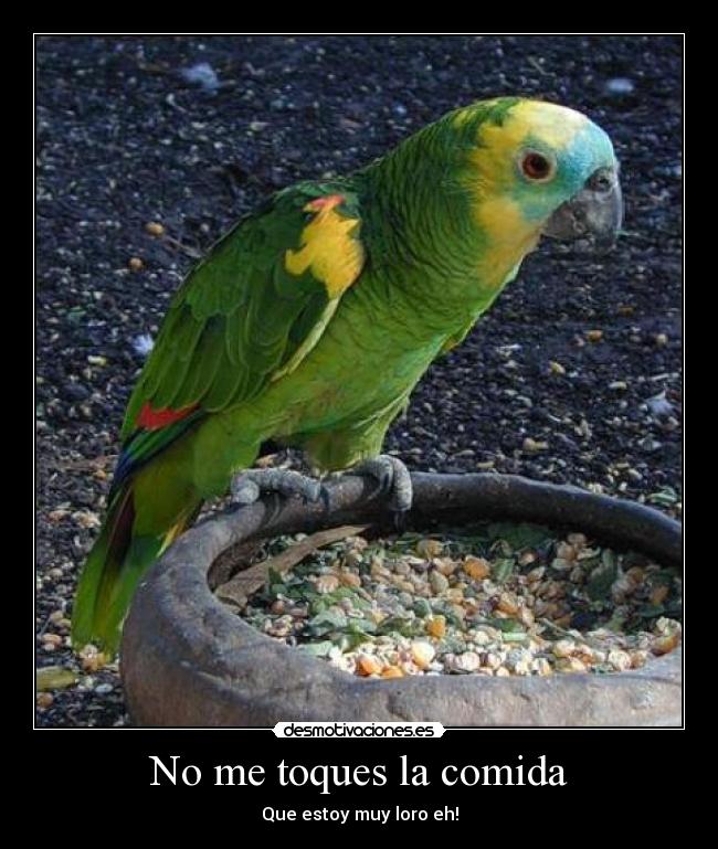 No me toques la comida -
