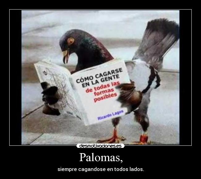 carteles desmotivaciones