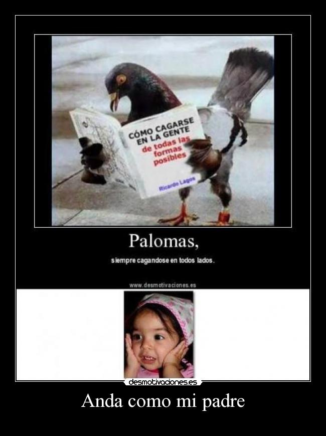 Anda como mi padre -