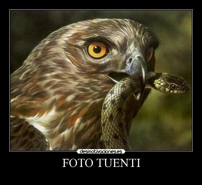 FOTO TUENTI - 