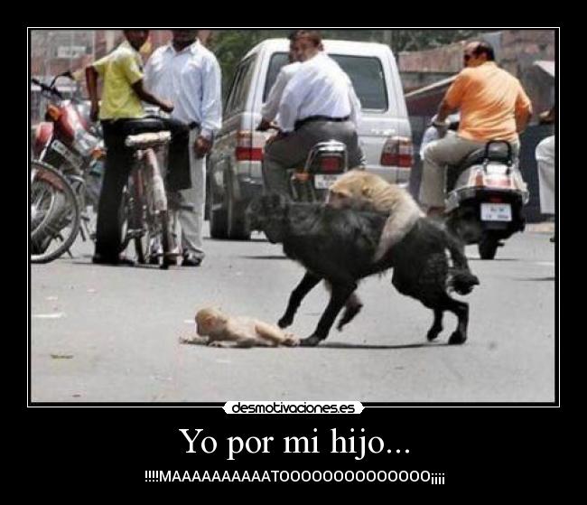 Yo por mi hijo... - !!!!MAAAAAAAAAATOOOOOOOOOOOOOO¡¡¡¡