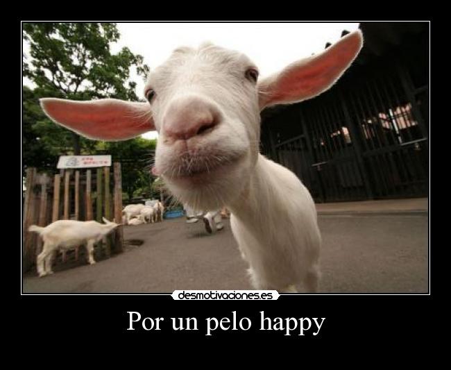 Por un pelo happy - 