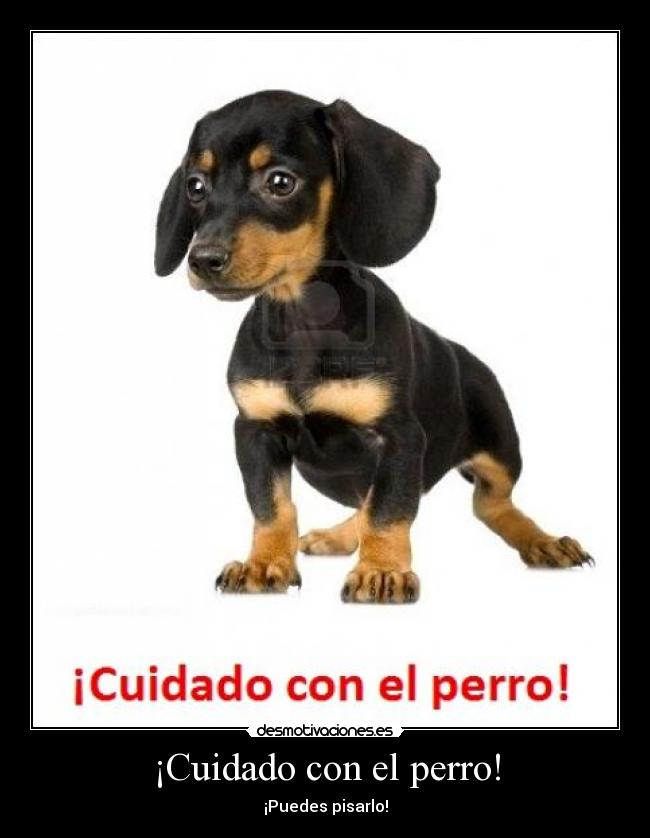 ¡Cuidado con el perro! -