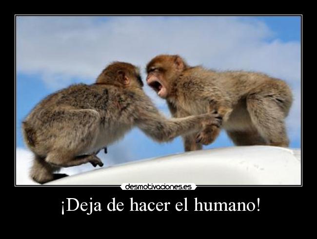 ¡Deja de hacer el humano! - 