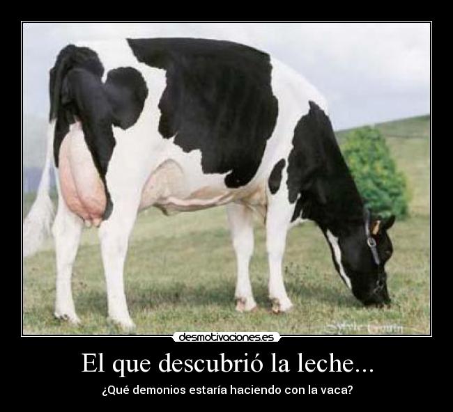 carteles vaca lechero desmotivaciones