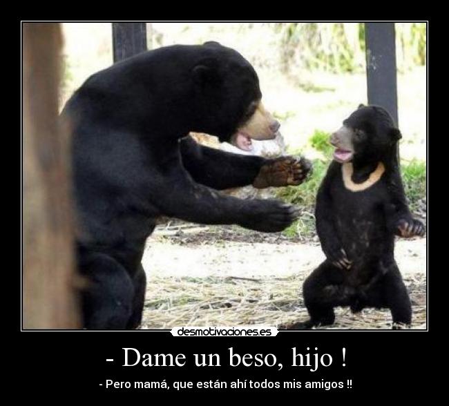 carteles oso osito madre amigos hijo amigo beso wtf desmotivaciones