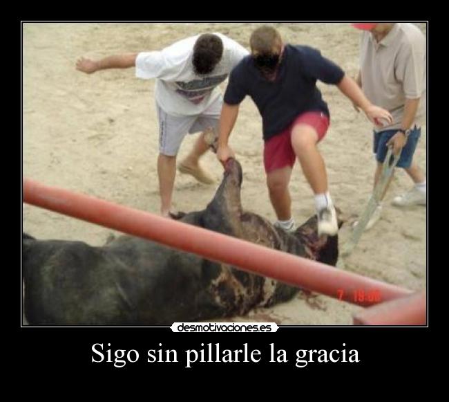 Sigo sin pillarle la gracia -