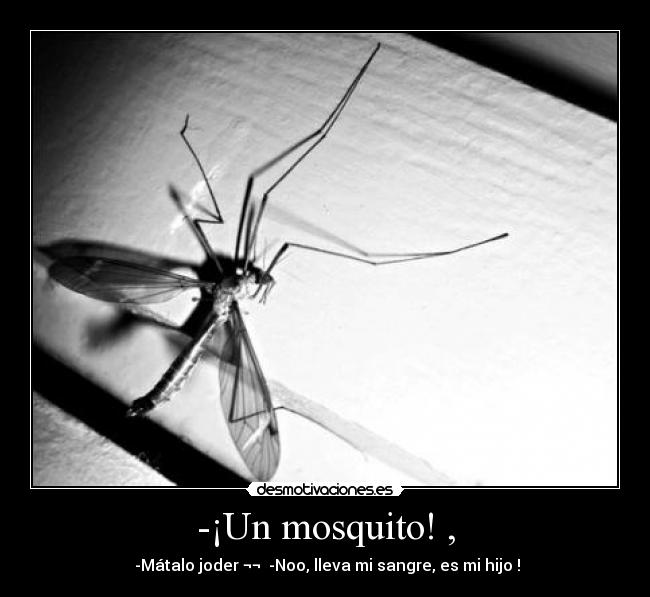 -¡Un mosquito! , - 