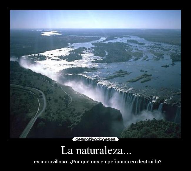 La naturaleza... - ...es maravillosa. ¿Por qué nos empeñamos en destruirla?