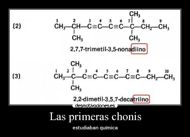 Las primeras chonis - estudiaban química