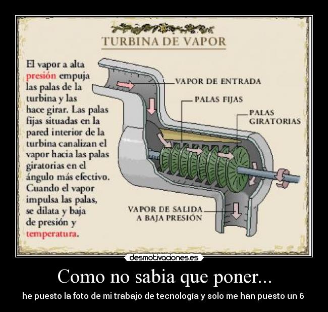 Como no sabia que poner... -