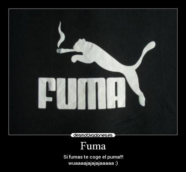 Fuma -