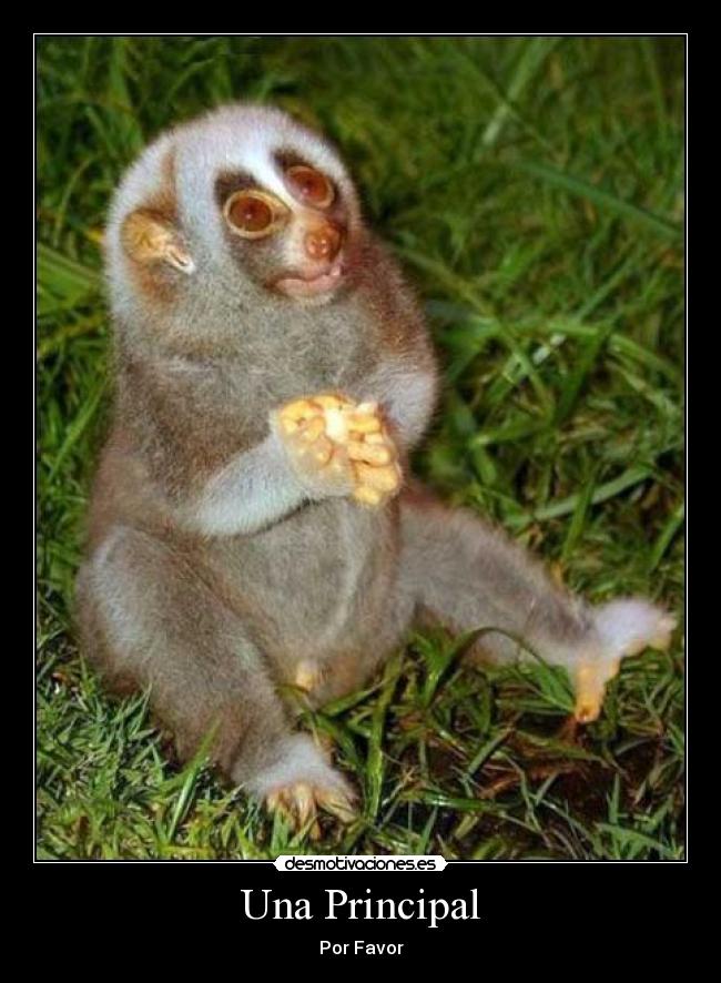 Una Principal - Por Favor