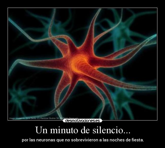 Un minuto de silencio... - por las neuronas que no sobrevivieron a las noches de fiesta.