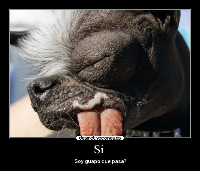 Si - Soy guapo que pasa?