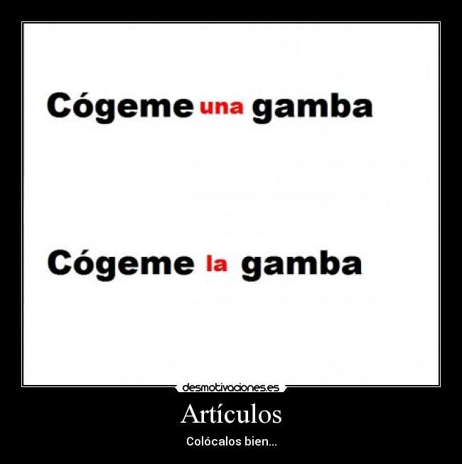 Artículos - Colócalos bien...