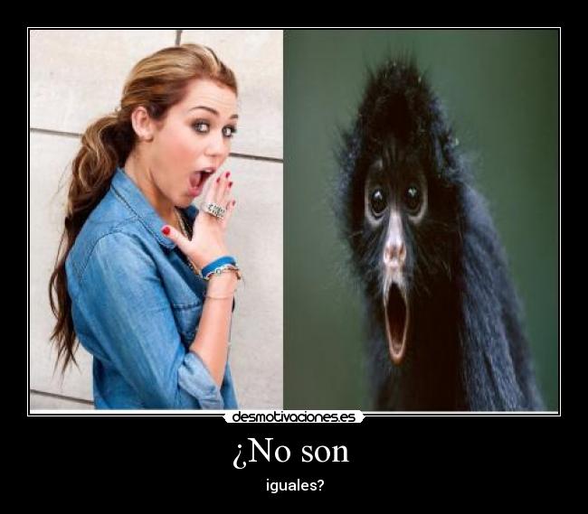 ¿No son -