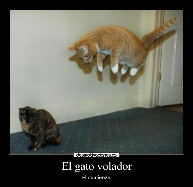 El gato volador - 