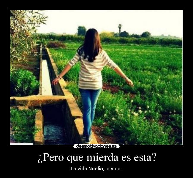 ¿Pero que mierda es esta? - La vida Noelia, la vida..