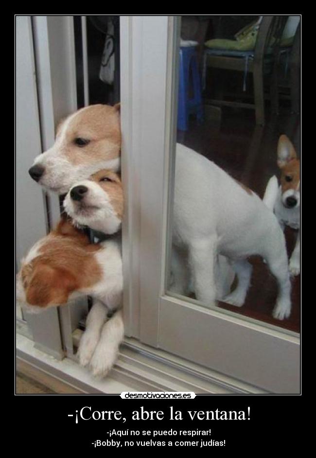 -¡Corre, abre la ventana! -