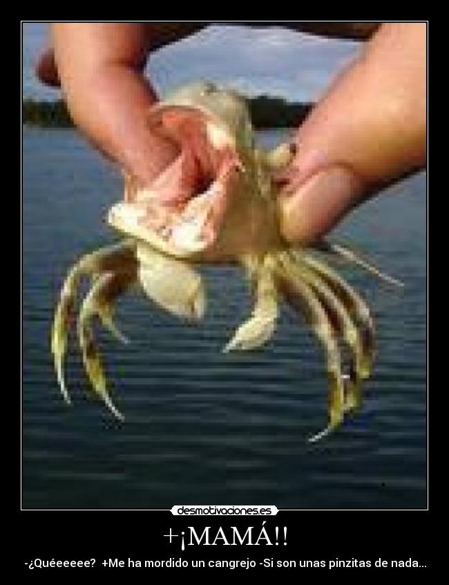 +¡MAMÁ!! - 
