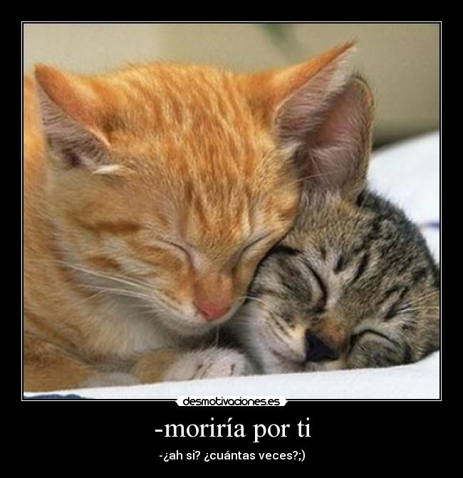 -moriría por ti -
