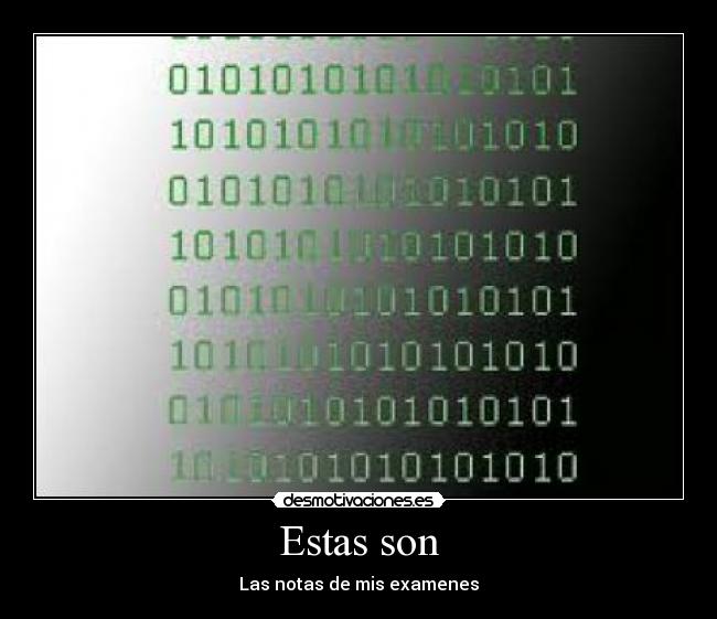 Estas son - Las notas de mis examenes