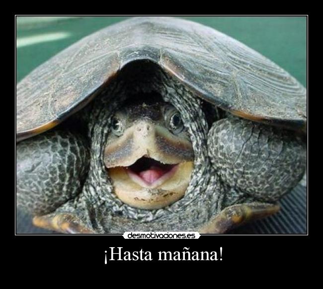 ¡Hasta mañana! Desmotivaciones