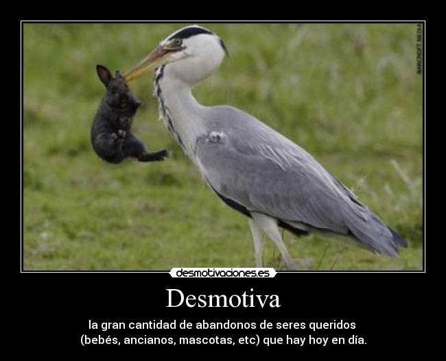 carteles desmotiva desmotivaciones