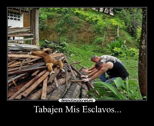 Tabajen Mis Esclavos... -