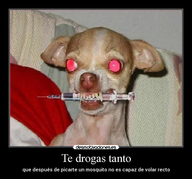 Te drogas tanto - 