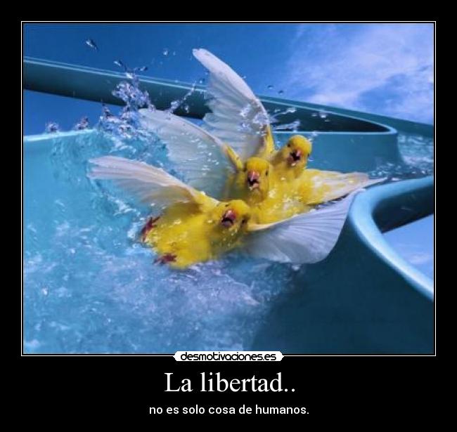 La libertad.. - no es solo cosa de humanos.