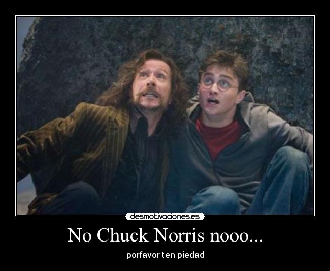 No Chuck Norris nooo... - 