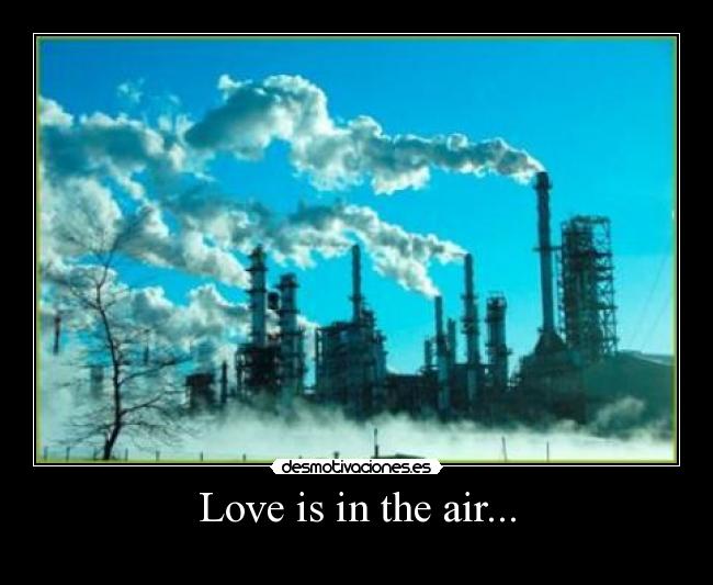 Love is in the air... - 