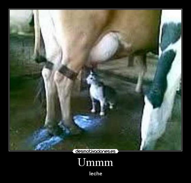 Ummm - leche