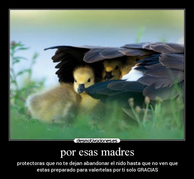 por esas madres - 