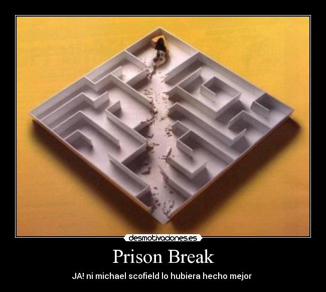 Prison Break -