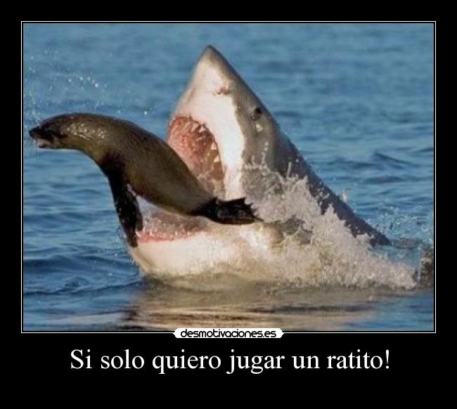 Si solo quiero jugar un ratito! - 
