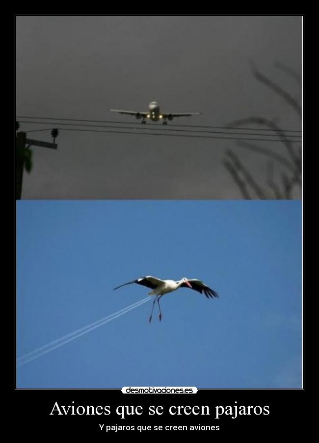 Aviones que se creen pajaros -