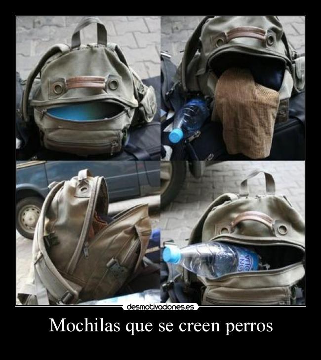Mochilas que se creen perros -