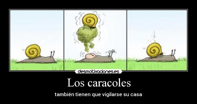 Los caracoles - también tienen que vigilarse su casa