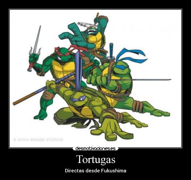 Tortugas -