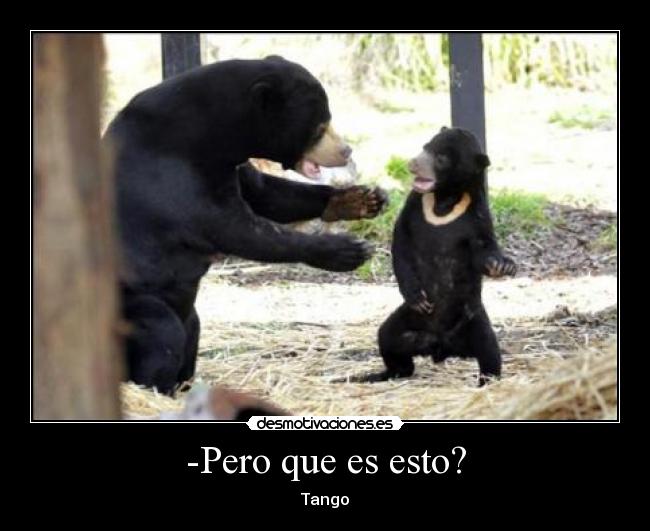 -Pero que es esto? -