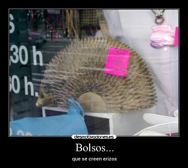 Bolsos... - 