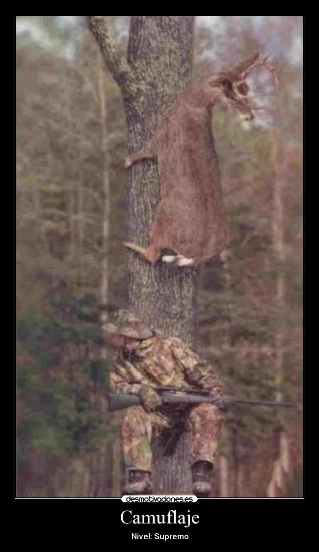 Camuflaje - Nivel: Supremo
