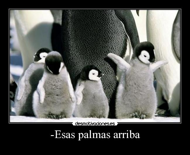 -Esas palmas arriba - 