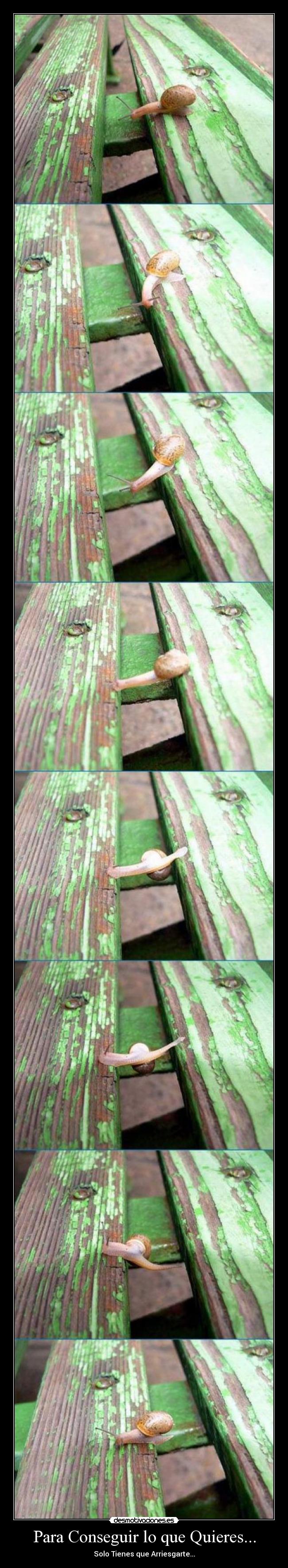 Para Conseguir lo que Quieres... - Solo Tienes que Arriesgarte...