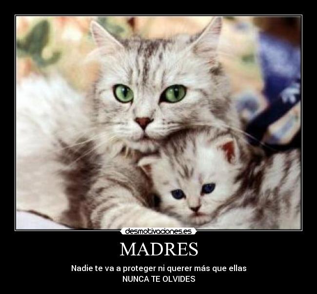 MADRES - 