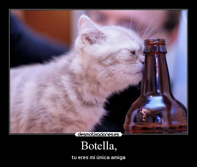 Botella, - tu eres mi única amiga