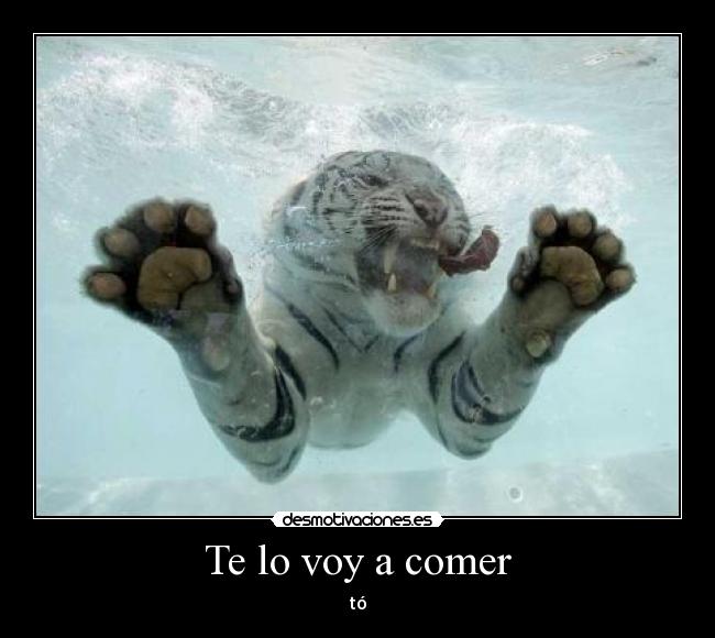 Te lo voy a comer -